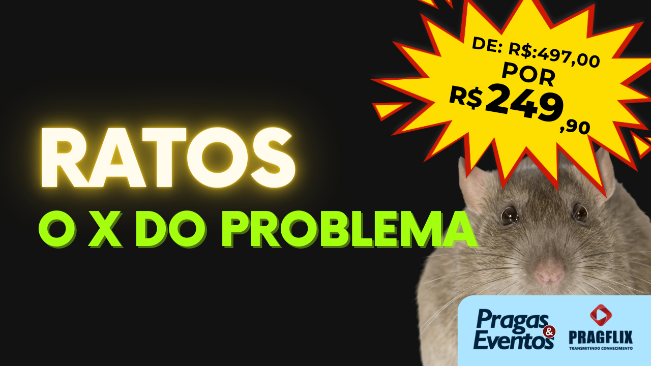 Ratos: o X do Problema